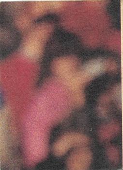 1985 Scanlens VFL #15 Russell Richards Back